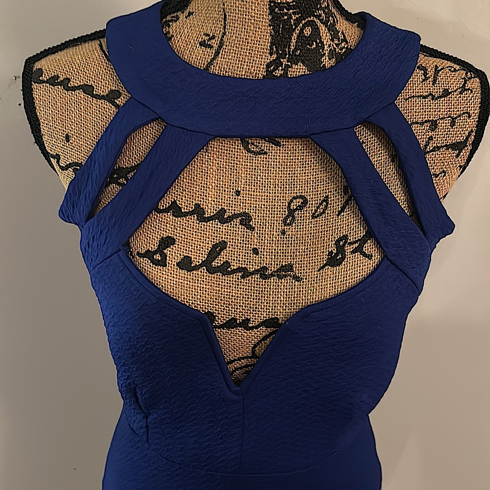 Blue Structured Dress - Picture 3 of 3